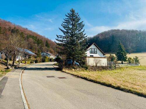 Foto - Grundst&uuml;ck in Lichtenstein zum Kaufen