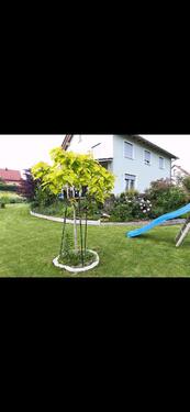 Foto - 5 Zimmer Einfamilienhaus in Plößberg