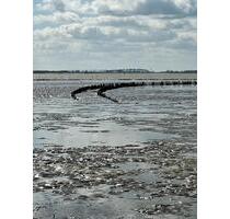 MonteurFerienwohnung.Genieß Nordsee,Watt,Meer u.Seeluft mit Hund - Krummhörn