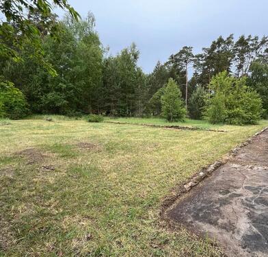 Foto - Natur pur - Freizeitgrundstücke mit altem Haus, nahe Berlin