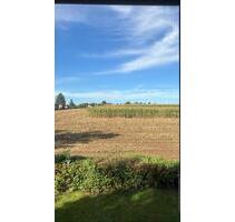 günstige 3 Zimmer Wohnung mit 56qm in ruhiger Lage - Rositz