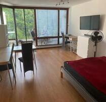 1-Zimmer-Wohnung mit EBK in Alpirsbach – 41 m² | 335 € k