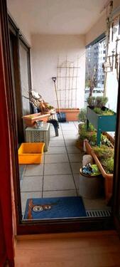 Foto - Schöne Wohnung mit Dachterrasse in Wangen- Waltersbühl von Privat