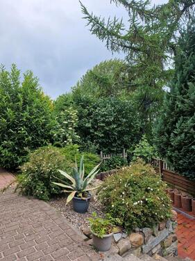 Foto - 1 Zimmer Hochparterre zur Miete in Kühlungsborn