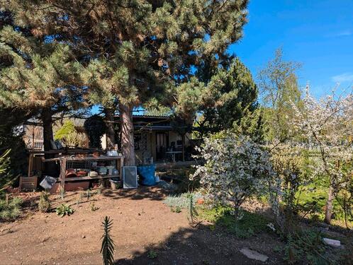 Foto - Wunderschöner Pachtgarten - 3.800,00&nbsp;EUR Kaltmiete, ca.&nbsp; 0,00&nbsp;m&sup2;