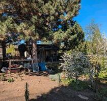 Wunderschöner Pachtgarten - 3.800,00&nbsp;EUR Kaltmiete, ca.&nbsp; 0,00&nbsp;m&sup2; in Apolda (PLZ: 99510)