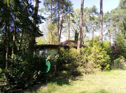Foto - Einfamilienhaus zum Kaufen in Dresden