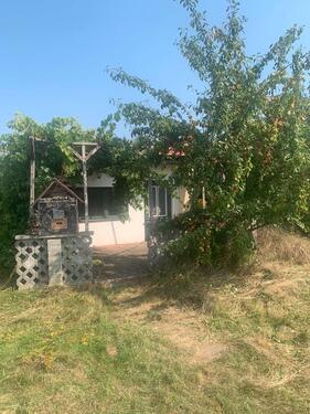 Foto - Kleingarten abzugeben - 350,00 EUR Kaltmiete, ca.  0,00 m²