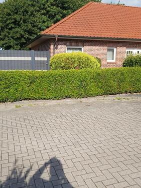 Foto - Einfamilienhaus in Saterland zum Kaufen