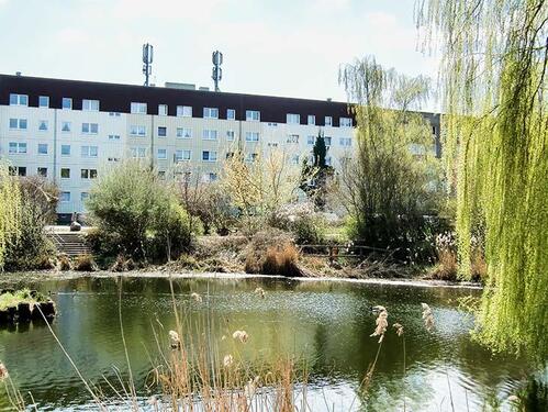 Foto - Platz für die ganze Familie! - 620,00 EUR Kaltmiete,