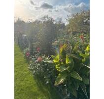 Kleingarten Garten Pachtgarten Wohlfühloase - Rostock Evershagen