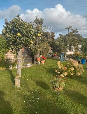 Foto - Grundst&uuml;ck in Rostock