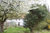 Foto - Einfamilienhaus in Geringswalde zum Kaufen