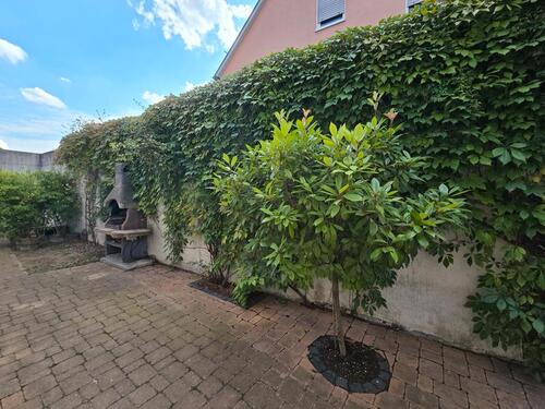 Foto - 5 Zimmer Doppelhaushälfte zur Miete in Hochheim am Main