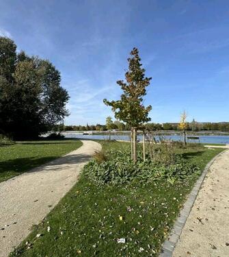 Foto - Etagenwohnung in Nürnberg zum Kaufen