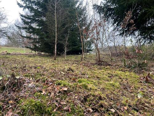 Foto - Hundewiese Freizeitfläche zu verpachten