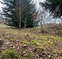 Hundewiese Freizeitfläche zu verpachten - Fuldatal