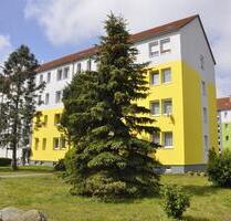 Ihr eigener Rückzugsort gefällig? Wir haben das Passende! - Raguhn-Jeßnitz Jeßnitz (Anhalt)