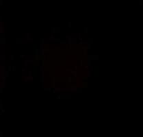 Immobilien in Lübeck mit Finanzierung von 2% abzugeben