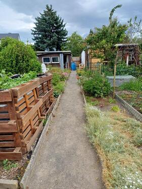 Foto - Grundst&uuml;ck zur Miete in Bad Lausick