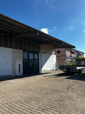 Foto - andere in Malterdingen
