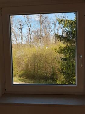 Foto - Helle 3 Zimmer DG Wohnung in MühlackerEckenweiher Waldrand