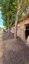 Foto - 4 Zimmer Bauernhaus, Landhaus zum Kaufen in Jüterbog