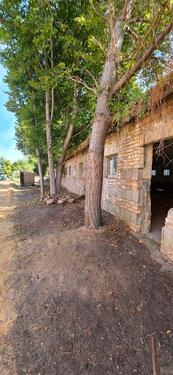 Foto - 4 Zimmer Bauernhaus, Landhaus zum Kaufen in Jüterbog