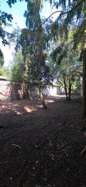 Foto - Bauernhaus, Landhaus in Jüterbog zum Kaufen