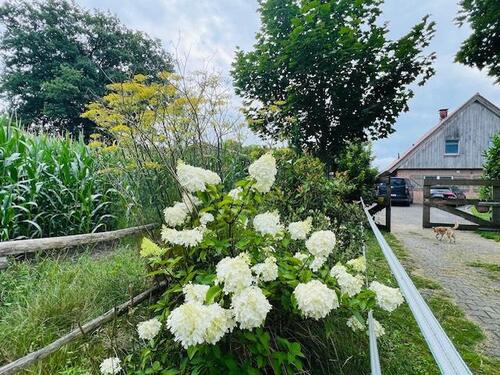 Foto - Moderner Resthof Pferdehof - Hochwertige Alleinlage im Grünen