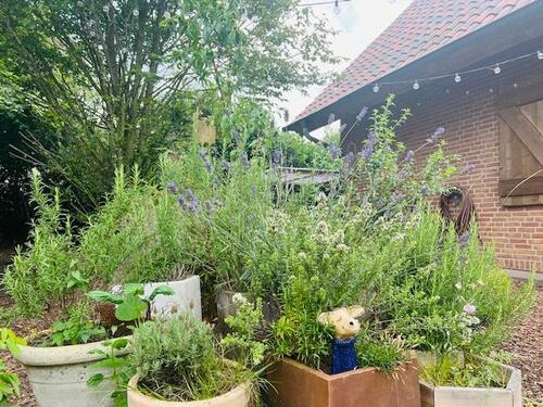 Foto - Einfamilienhaus in Wilsum