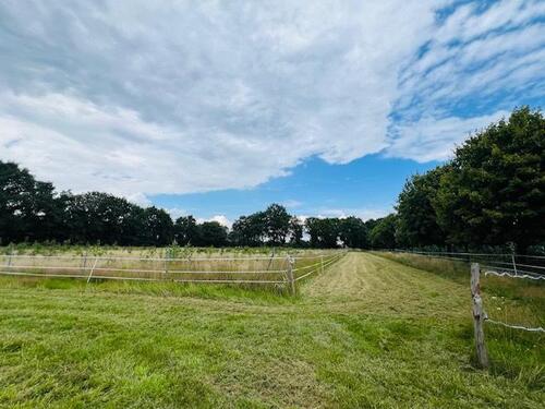 Foto - Einfamilienhaus in Wilsum zum Kaufen