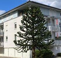 Haiger - Schöne Stadtwohnung mit Südbalkon und Aufzug - Herborn