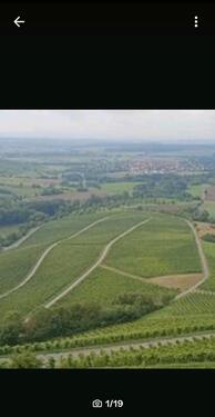 Foto - Ferienwohnung Meeblick Volkach, OT Köhler