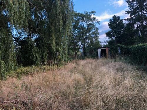 Foto - 7 Zimmer Einfamilienhaus zum Kaufen in Werder (Havel)