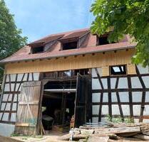 Scheune Halle (ca. 120qm) auf Aussiedlerhof - Radolfzell am Bodensee