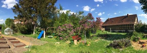 Foto - 3 Zimmer Etagenwohnung in Teuchern