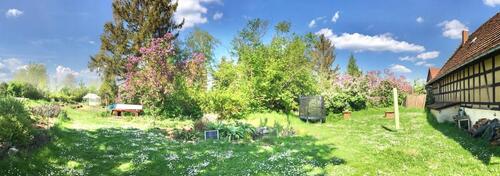 Foto - Etagenwohnung in Teuchern zur Miete