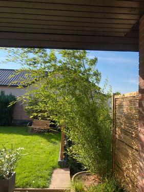 Foto - Einfamilienhaus zum Kaufen in Lage