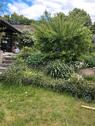 Foto - Einfamilienhaus in Lage