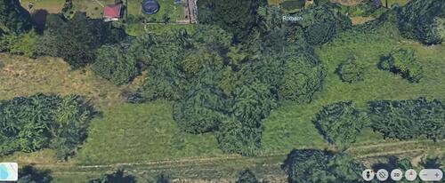 Foto - Baumwiese in Leutenbach zu verpachten