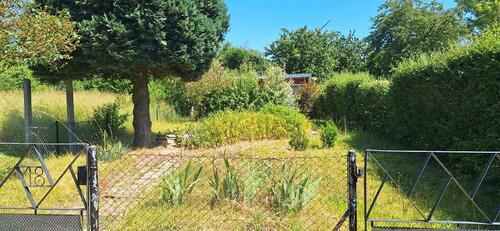 Foto - Grundstück in Wettin-Löbejün