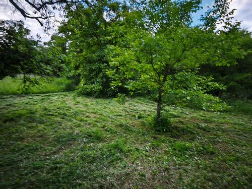 Foto - Freizeitgrundstück in Bruchsal - 100,00 EUR Kaltmiete, ca.  0,00 m²