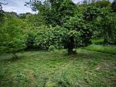 Foto - Grundstück zur Miete in Bruchsal