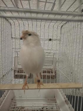 Foto - 63741 Aschaffenburg - 50,00&nbsp;EUR Kaltmiete,