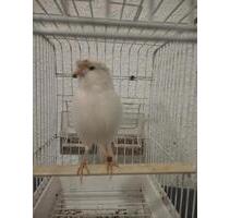 63741 Aschaffenburg - 50,00&nbsp;EUR Kaltmiete, in Aschaffenburg (PLZ: 63741) Damm