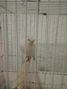 Foto - andere in Aschaffenburg