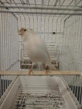 Foto - andere in Aschaffenburg zur Miete