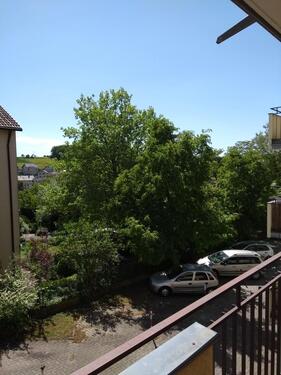 Foto - Helles, geräumiges 1-Zimmer-Appartment für Studierende