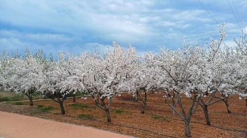 Foto - andere in Braunschweig